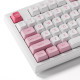 Bàn phím cơ AKKO 5098B Prunus Lannesiana V3 Piano Pro