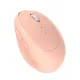 product-tab-2