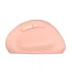 product-tab-4