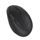 product-tab-2