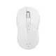 product-tab-2