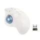 product-tab-2