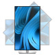 Màn hình LCD Dell P2725D (27 inch/ 2560 x 1440/ 5ms/ 100Hz)