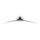 Màn hình LCD Samsung Odyssey OLED G9 G93SD LS49DG930SEXXV (49 inch/ 5120 x 1440/ 250 cd/m2/ 0.03ms/ 240Hz/ Curved)