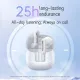 product-tab-4