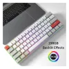 product-tab-1