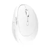product-tab-1
