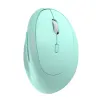 product-tab-1