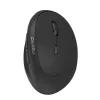 product-tab-1