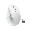 product-tab-1