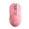 product-tab-1