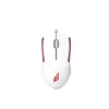 product-tab-1