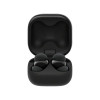 product-tab-1