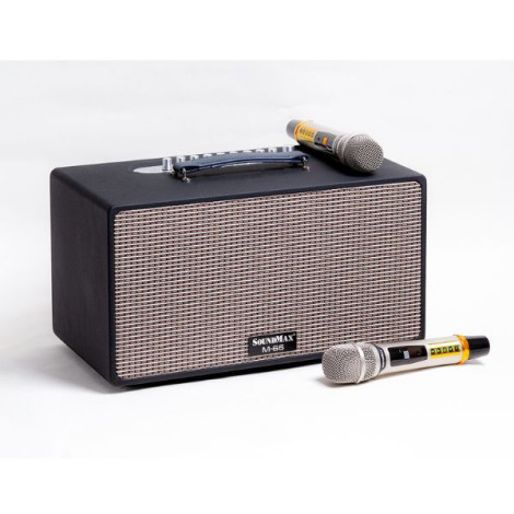 Loa Karaoke Di Động Soundmax M66