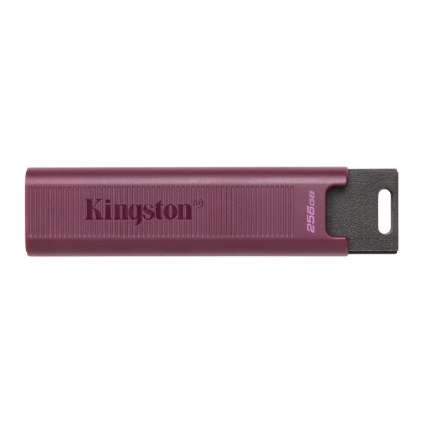 USB Kingston DataTraveler Max 256GB ...
