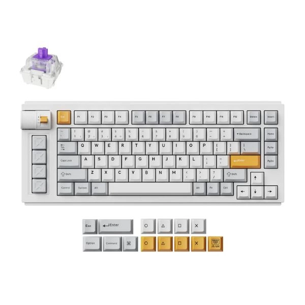 Bàn phím Keychron L1 HE Swappable RGB Backlight Nebula Switch Knob Version - White (L1H-P1)