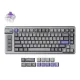 Bàn phím Keychron L1 HE Swappable RGB Backlight Nebula Switch Knob Version - Silver (L1H-X1)