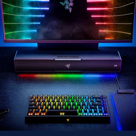 Loa Razer Leviathan V2 Gaming (RZ05-03920100-R3G1)