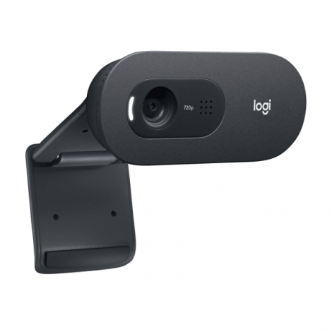 Webcam Logitech C505 (960-001370)