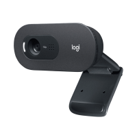 Webcam Logitech C505 (960-001370)